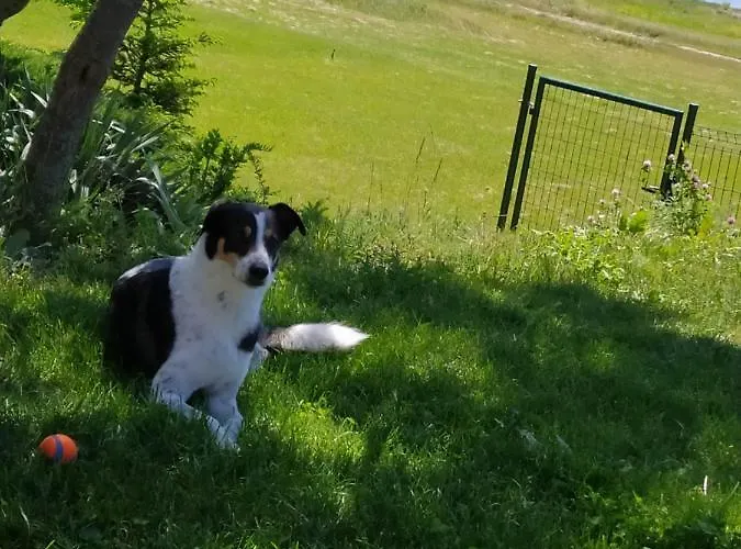 Kamenec Thermal Kamenec Kaluža